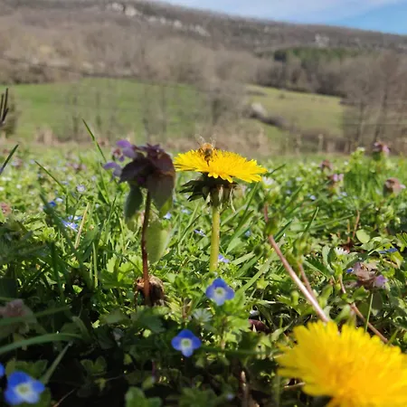 De Mailhac Feriehus Loubieres