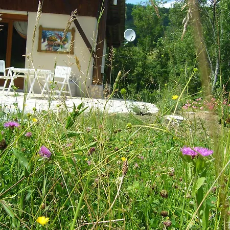 Holiday home De Mailhac Loubieres
