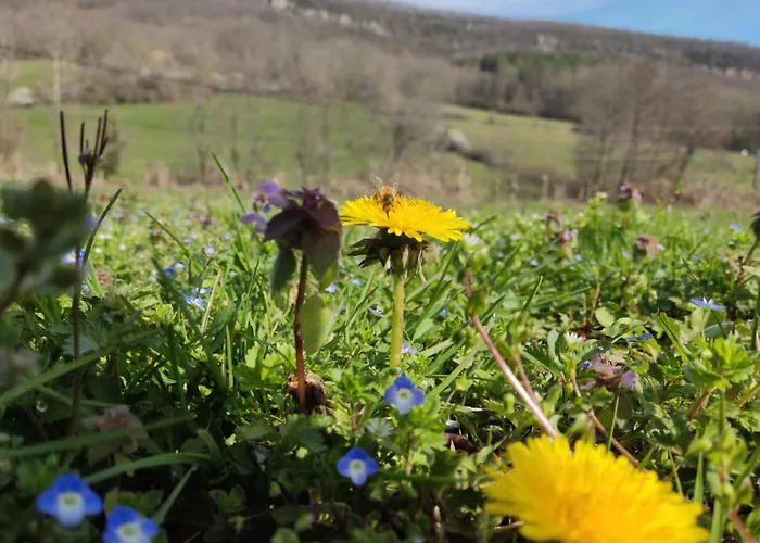 De Mailhac Σπίτι διακοπών Loubieres