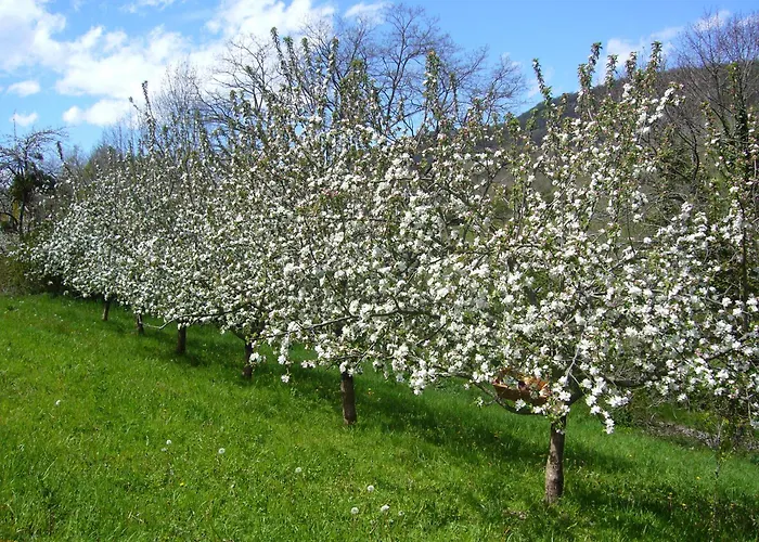 Σπίτι διακοπών De Mailhac Loubieres