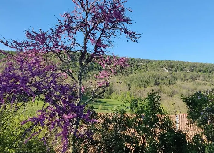 De Mailhac * Loubieres